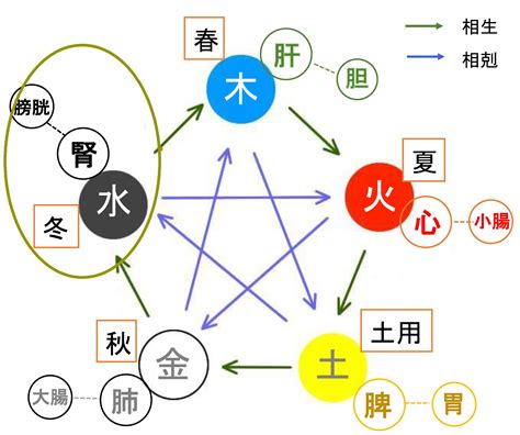 五行 冬|風邪などにやられずに冬を過ごす 【陰陽五行】 